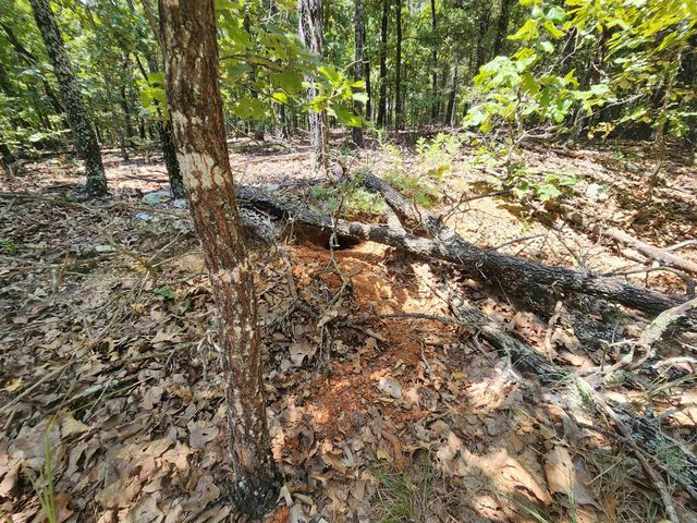 L101-103, B-3 Lightning Circle, Highland, AR 72542