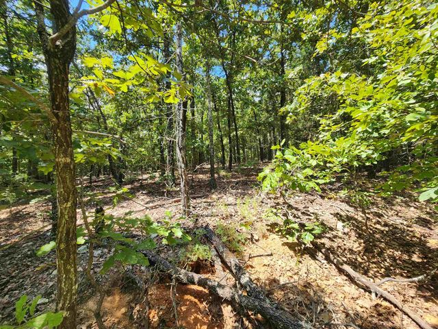 L101-103, B-3 Lightning Circle, Highland, AR 72542