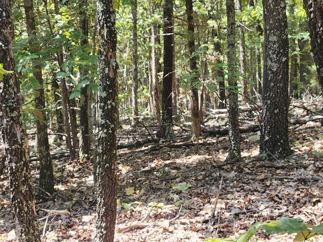 L101-103, B-3 Lightning Circle, Highland, AR 72542