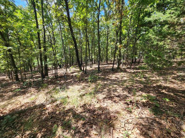 L101-103, B-3 Lightning Circle, Highland, AR 72542