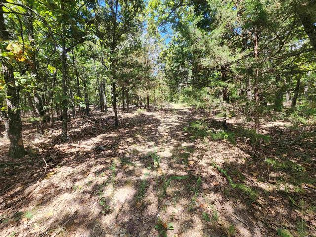 L101-103, B-3 Lightning Circle, Highland, AR 72542