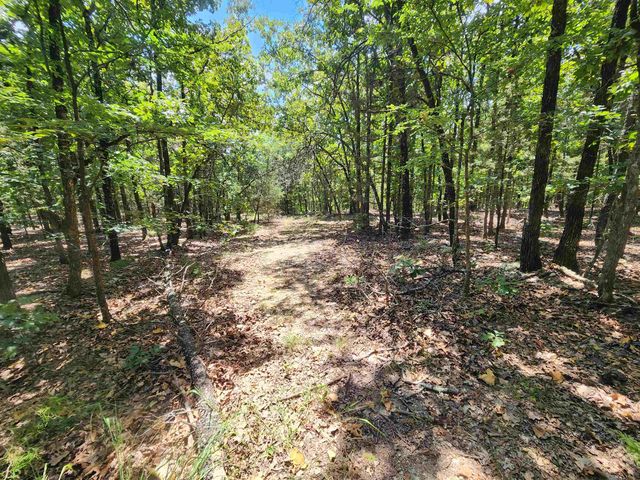 L101-103, B-3 Lightning Circle, Highland, AR 72542