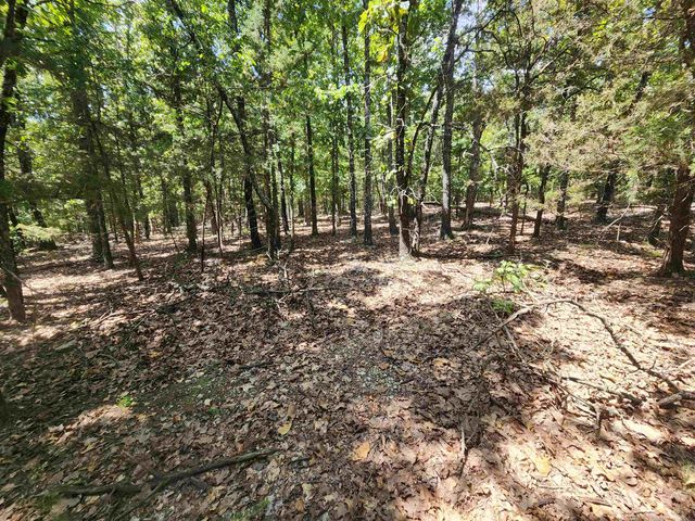 L101-103, B-3 Lightning Circle, Highland, AR 72542