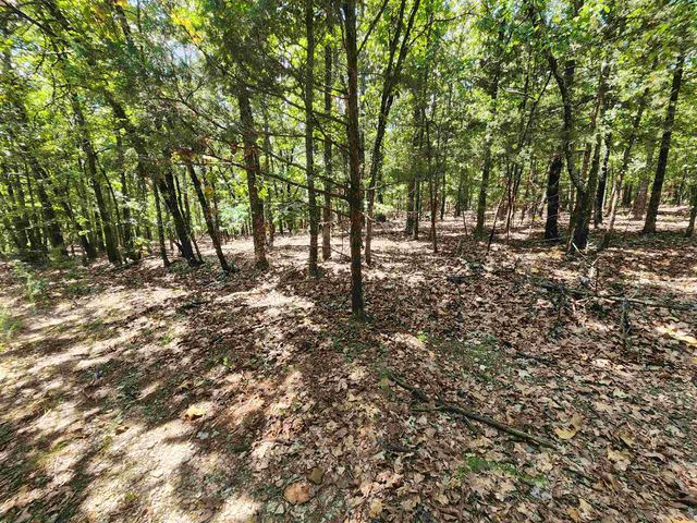 L101-103, B-3 Lightning Circle, Highland, AR 72542
