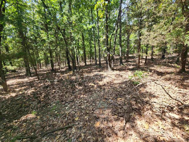 L101-103, B-3 Lightning Circle, Highland, AR 72542