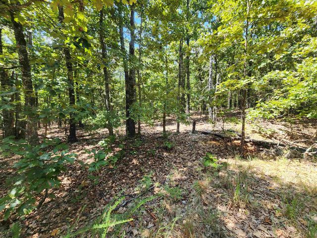 L101-103, B-3 Lightning Circle, Highland, AR 72542