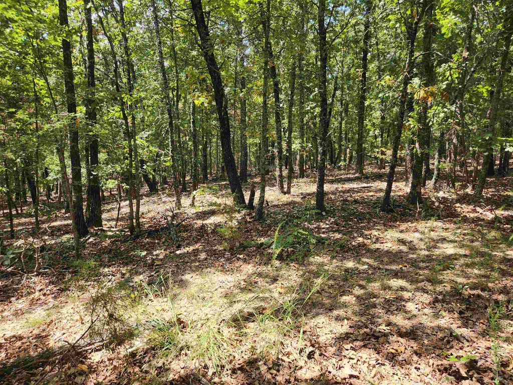 L101-103, B-3 Lightning Circle, Highland, AR 72542