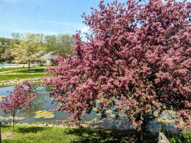 620 Peninsula Court, Ann Arbor, MI 48105