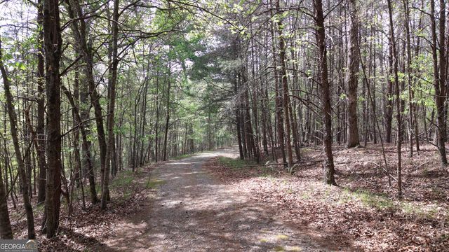 LOT 20 Horseshoe Bend Road, Dahlonega, GA 30533