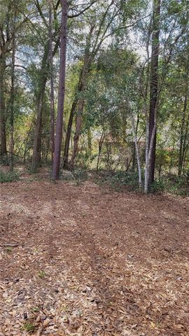 1564 BLUE GRASS BOULEVARD, Deland, FL 32724