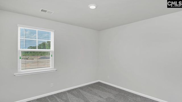 467 Leathertree Lane, Blythewood, SC 29016