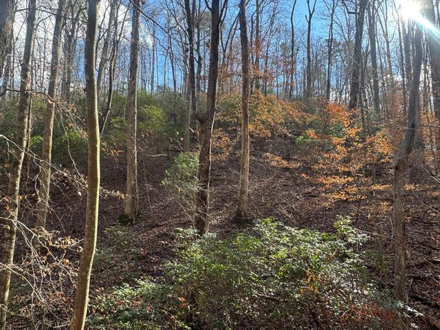 Lot 2749 Nimrod Court, Ellijay, GA 30540