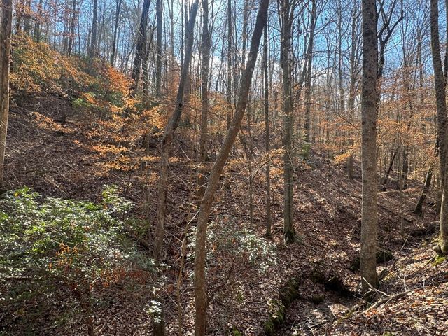 Lot 2749 Nimrod Court, Ellijay, GA 30540
