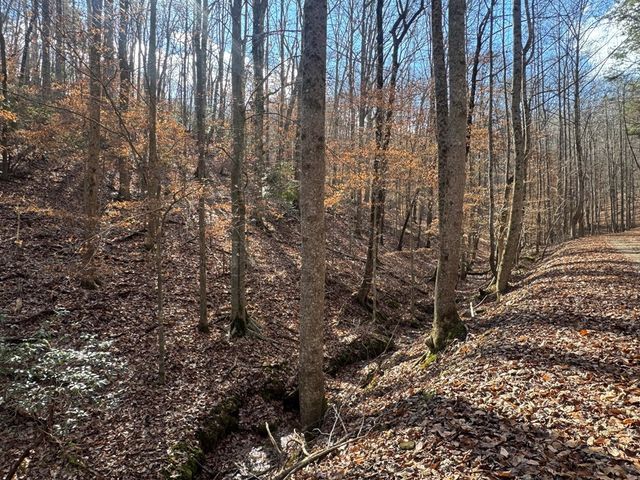 Lot 2749 Nimrod Court, Ellijay, GA 30540