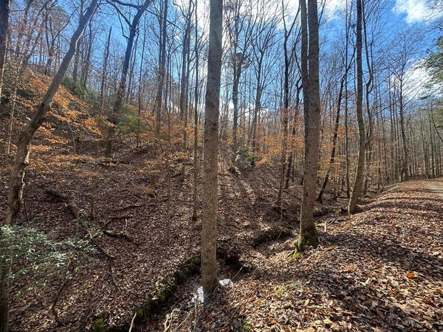 Lot 2749 Nimrod Court, Ellijay, GA 30540