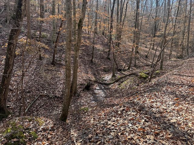 Lot 2749 Nimrod Court, Ellijay, GA 30540