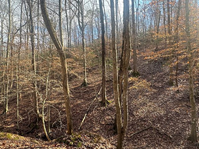 Lot 2749 Nimrod Court, Ellijay, GA 30540