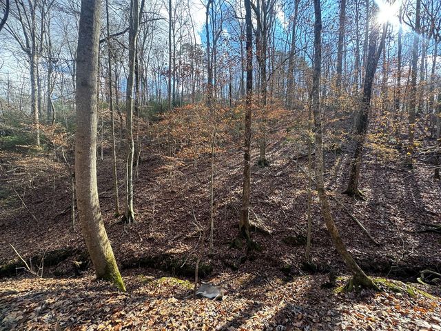Lot 2749 Nimrod Court, Ellijay, GA 30540