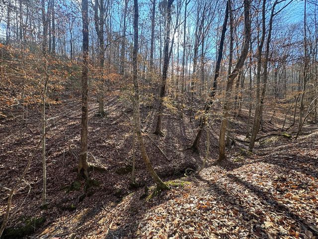 Lot 2749 Nimrod Court, Ellijay, GA 30540