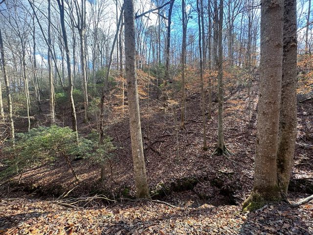 Lot 2749 Nimrod Court, Ellijay, GA 30540