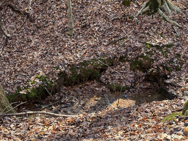 Lot 2749 Nimrod Court, Ellijay, GA 30540