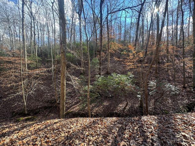Lot 2749 Nimrod Court, Ellijay, GA 30540