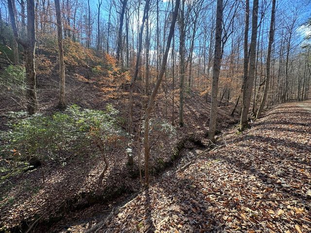 Lot 2749 Nimrod Court, Ellijay, GA 30540