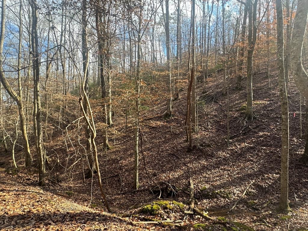 Lot 2749 Nimrod Court, Ellijay, GA 30540
