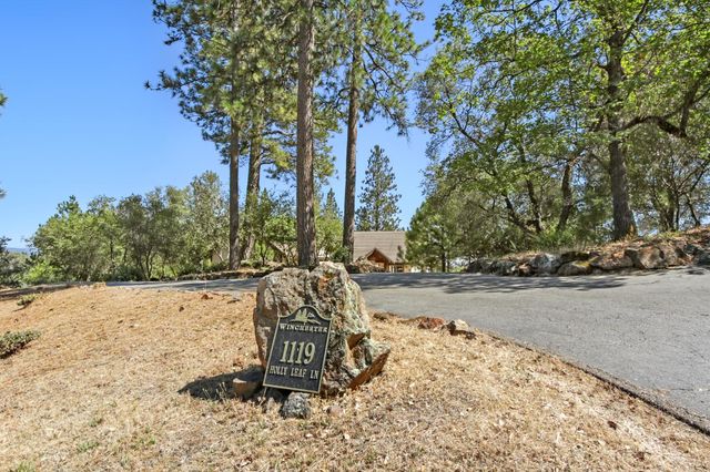 1119 Holly Leaf Ln, Meadow Vista, CA 95722