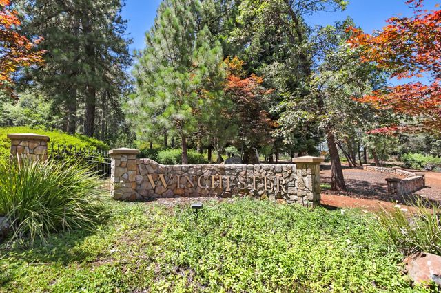 1119 Holly Leaf Ln, Meadow Vista, CA 95722