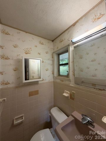 142 Avondale Road, Asheville, NC 28803