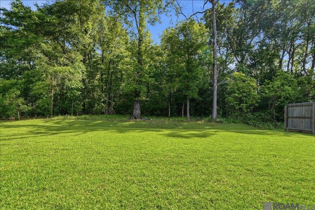 23462 Odette Ave, Denham Springs, LA 70726