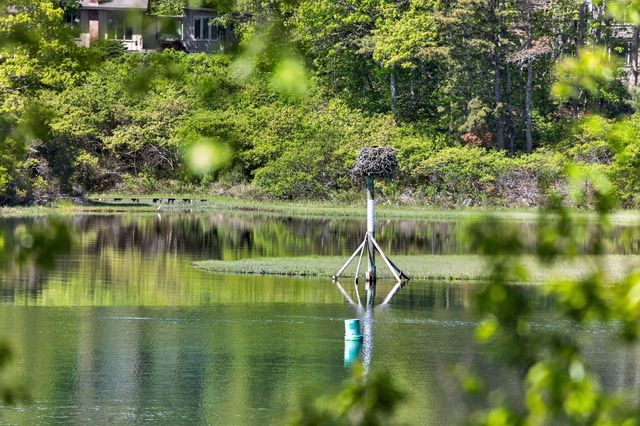 31 Albion Way, South Dennis, MA 02660