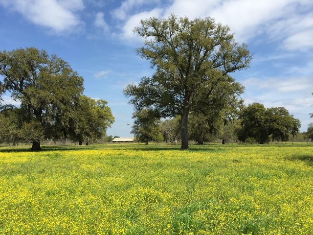 16427 Majestic Oaks Drive, Rosharon, TX 77583