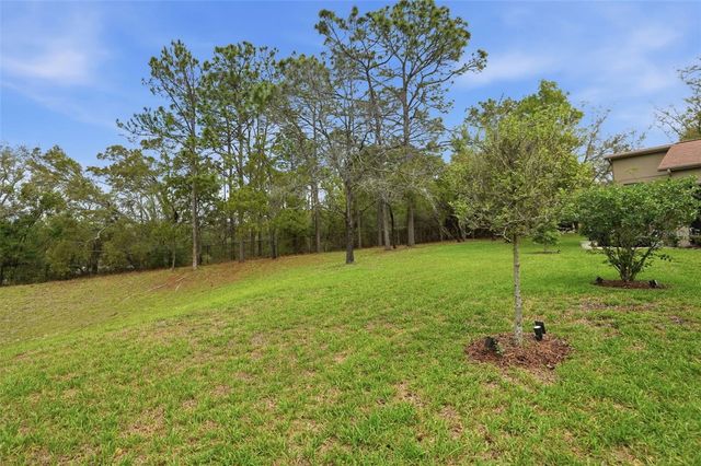 11437 DEERCROFT COURT, Spring Hill, FL 34609