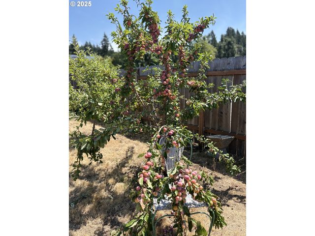 1255 S 13TH St, Cottage Grove, OR 97424