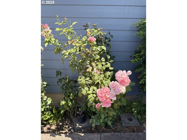 1255 S 13TH St, Cottage Grove, OR 97424