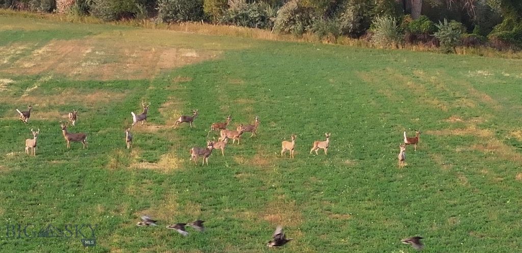 TBD Christensen Road, Billings, MT 59101 photo 10