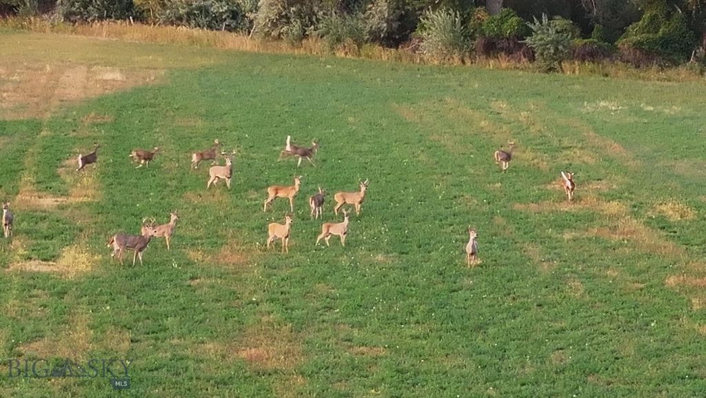 TBD Christensen Road, Billings, MT 59101 photo 12