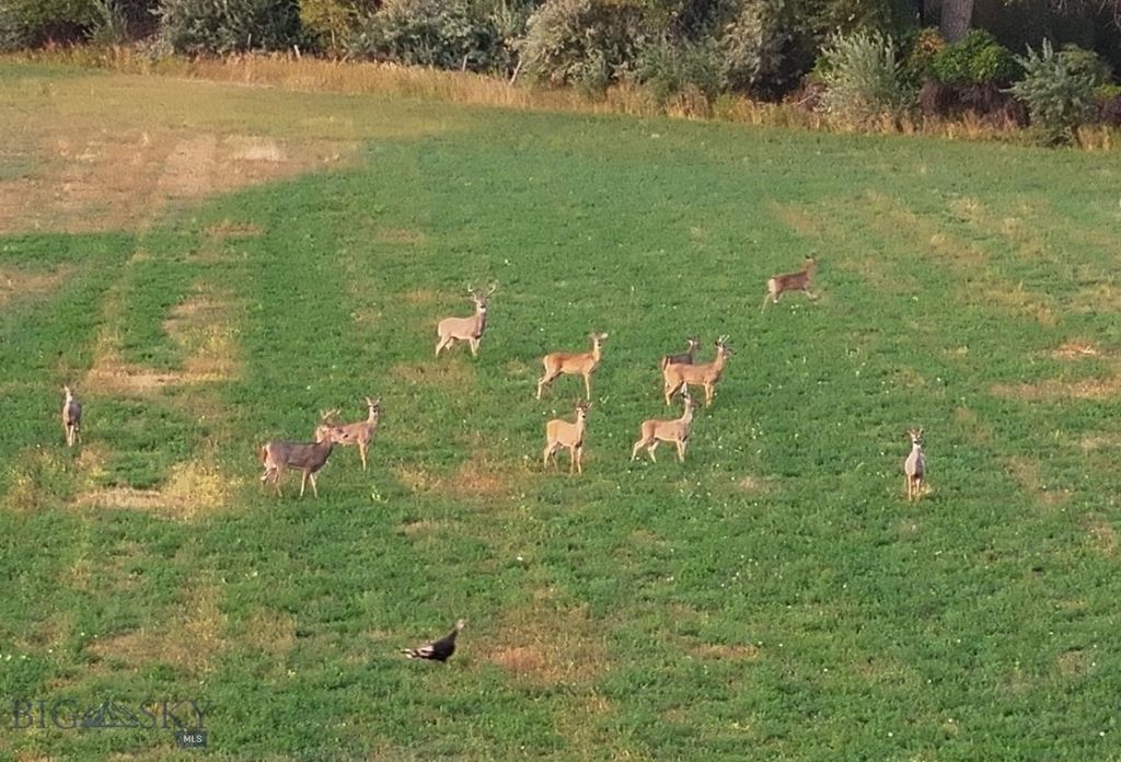 TBD Christensen Road, Billings, MT 59101 photo 14