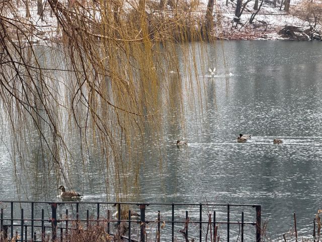 220-55 46TH Avenue 10D, Bayside, NY 11361