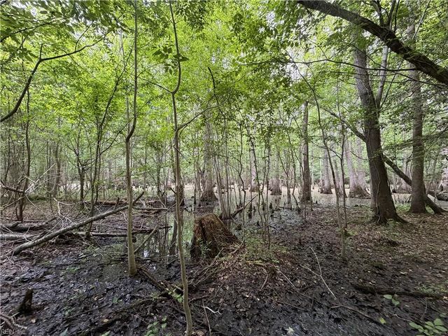 5895 Spivey Run RD, Suffolk, VA 23438