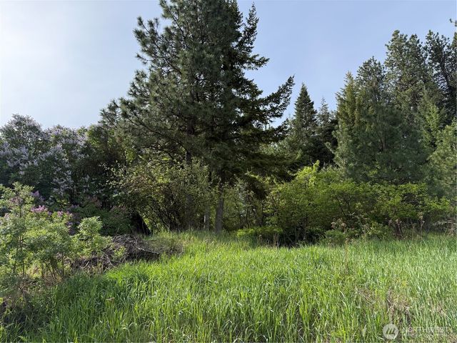 4 5th St Alley, Roslyn, WA 98941