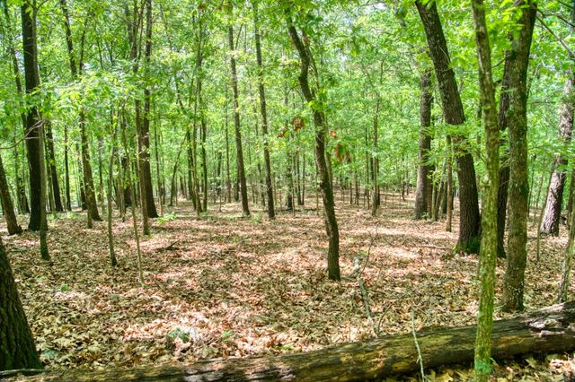 Mundell Road, Eureka Springs, AR 72631
