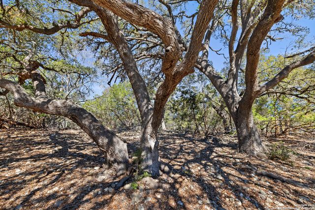 111 La Luna Drive, Blanco, TX 78606