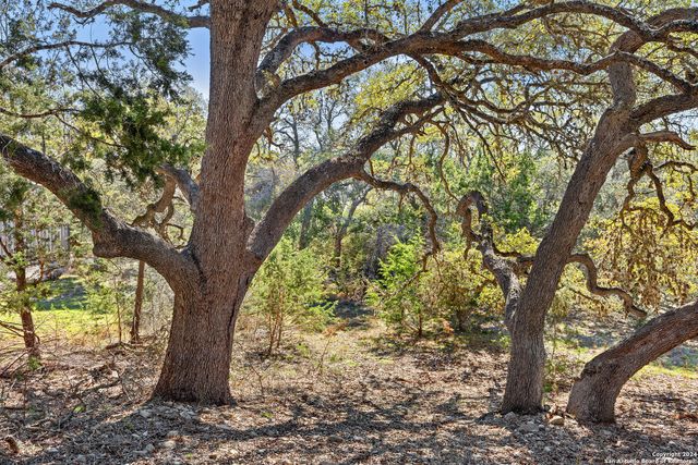 111 La Luna Drive, Blanco, TX 78606