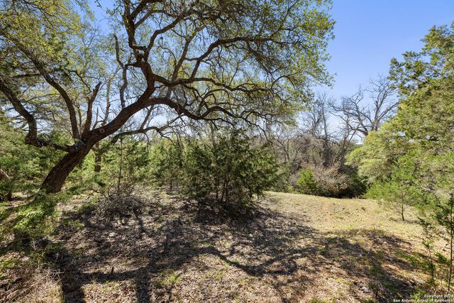 111 La Luna Drive, Blanco, TX 78606