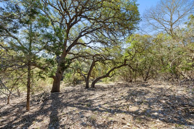 111 La Luna Drive, Blanco, TX 78606
