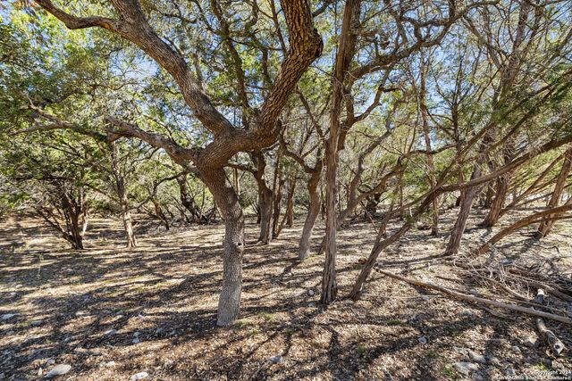 111 La Luna Drive, Blanco, TX 78606