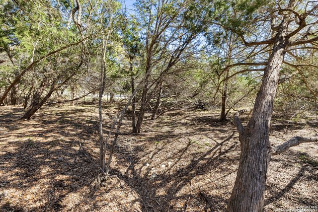 111 La Luna Drive, Blanco, TX 78606